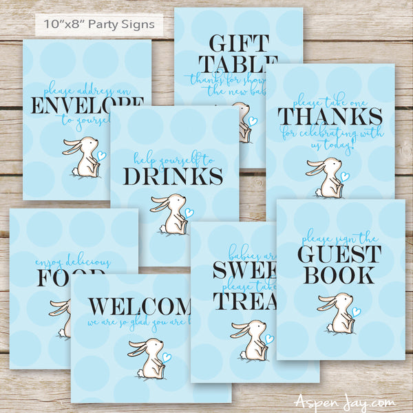 Blue Bunny Baby Shower Package