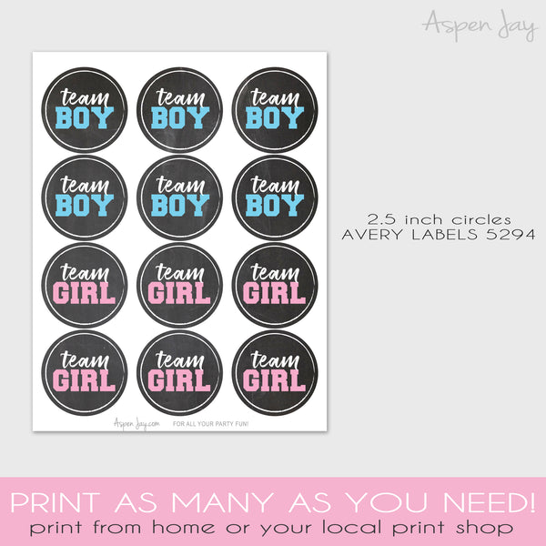 Chalkboard Gender Reveal Stickers