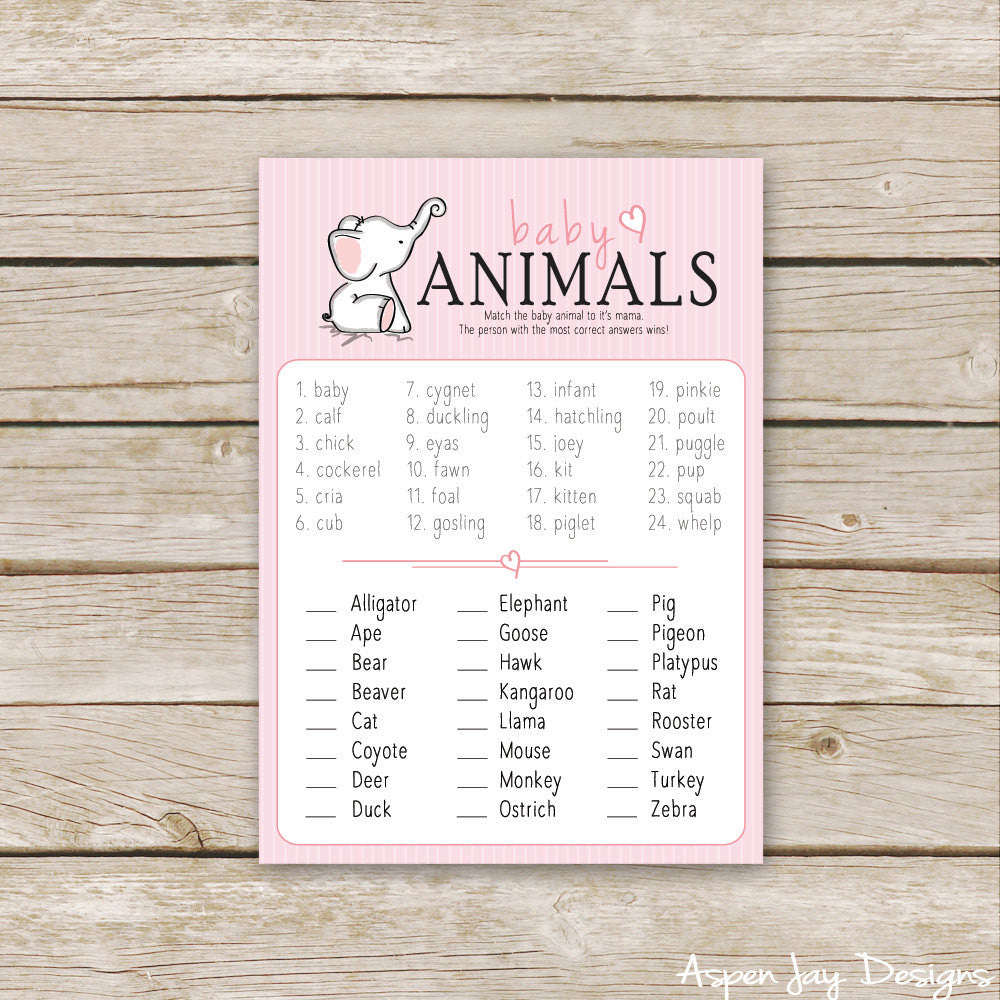 Pink Elephant Baby Animal Names