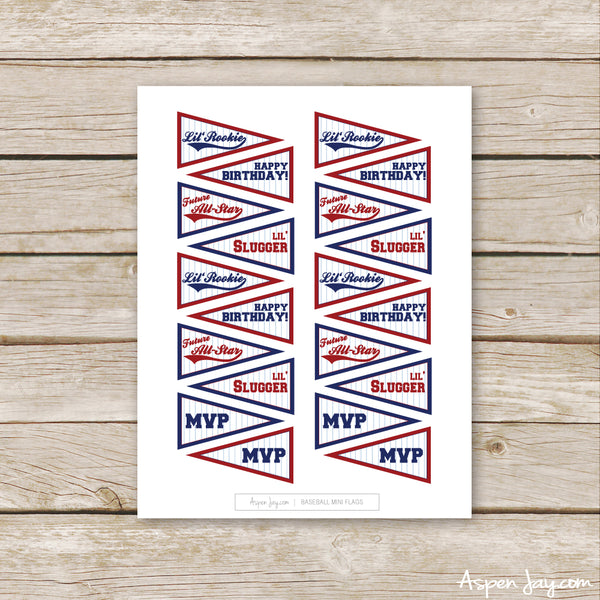 Baseball Birthday Mini Flags