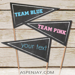 Editable Gender Reveal Pennant Flags