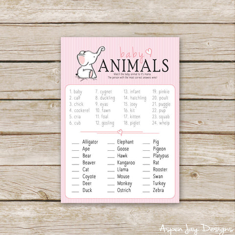 Pink Elephant Baby Animal Names